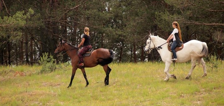 Прогулянки верхи у кінному клубі «Підкова» у Києві. Оплачуйте за акцією.