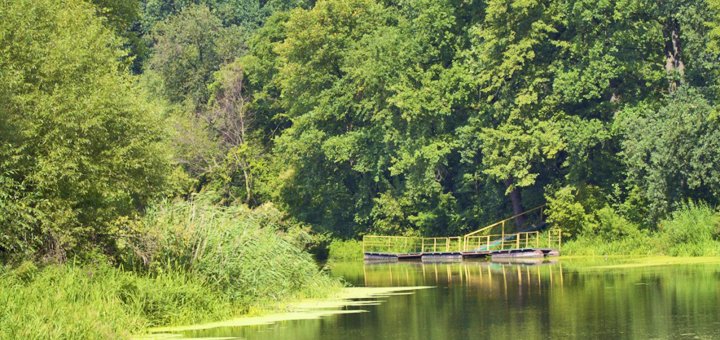 Discounts at the Lesnaya Skazka recreation center near Kiev9