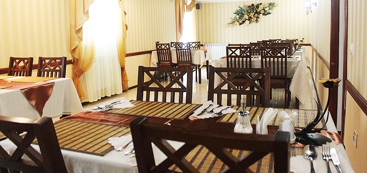 Discounts for holidays in the hotel Villa Anastasia in Truskavets11