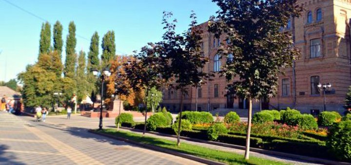 «Кропивницкий государственный педагогический университет имени Владимира Винниченко»