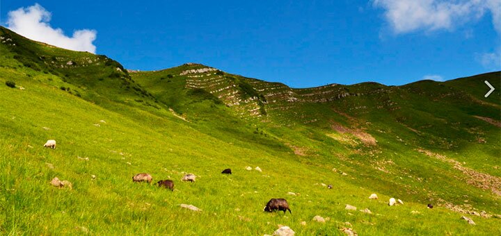 Discounts on holidays from the travel company wandler1