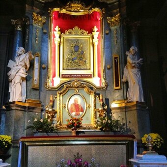&quot;cathedral of the assumption of the blessed virgin mary&quot;