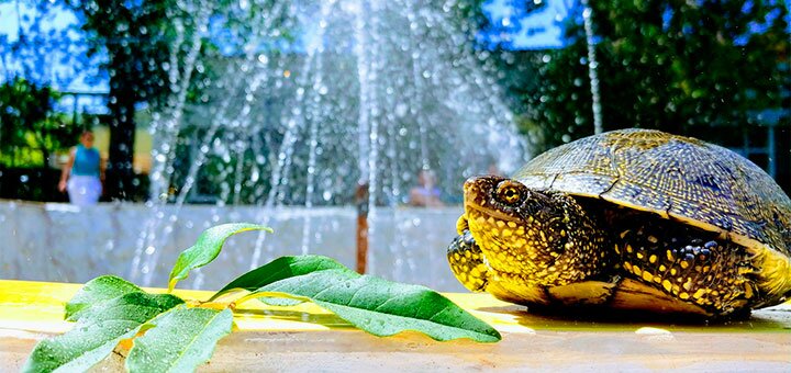 Discounts at the recreation center Regina in Zatoka7