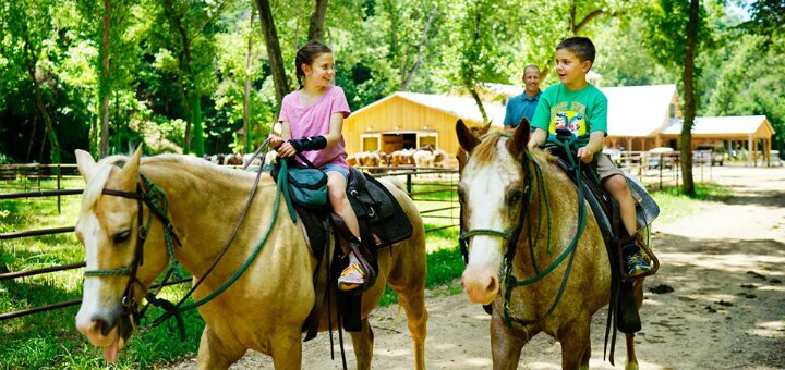 Прогулянки на конях в кінном клубі Коні Львів