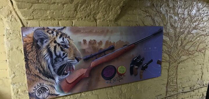 Shooting from a pistol, rifle, crossbow in the "Safari" shooting range 2