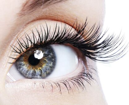 Eyelashes