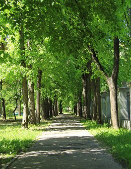 «Парк одного дома» Киев
