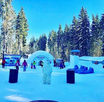 Promotions hotel-restaurant &quot;ice restaurant bukovel&quot;