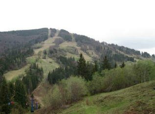 «гора тростян» славське