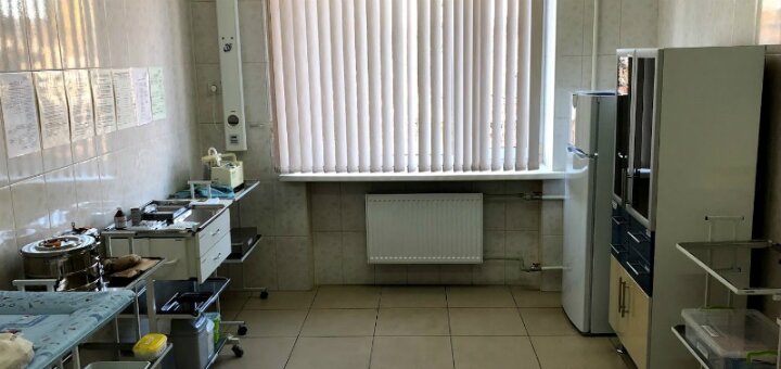 &quot;kremenchug perinatal center&quot;