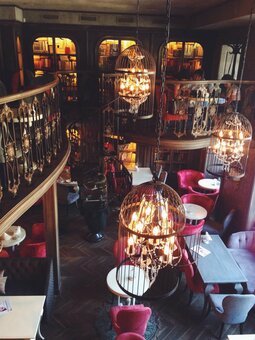 photo