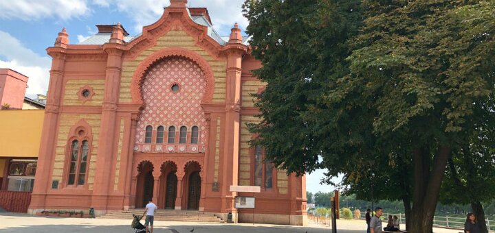 «Ужгородская синагога»