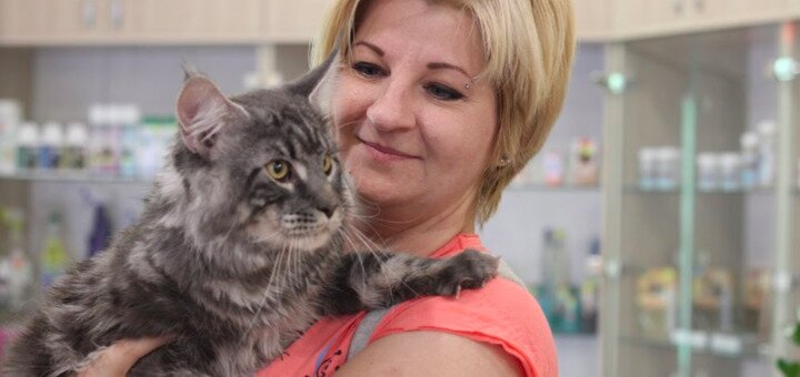 A-bet cats