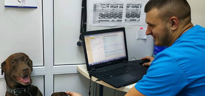 Акции в ветеринарной клинике «ОлВет»
