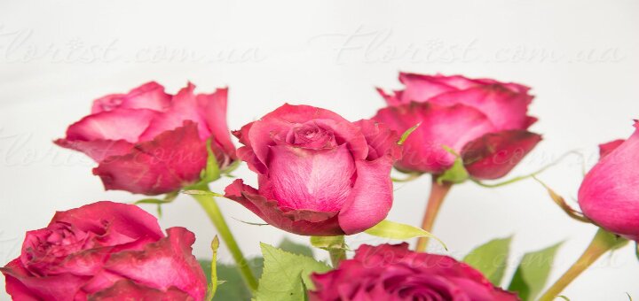 Недорого цветочный магазин «Beauty Flowers»