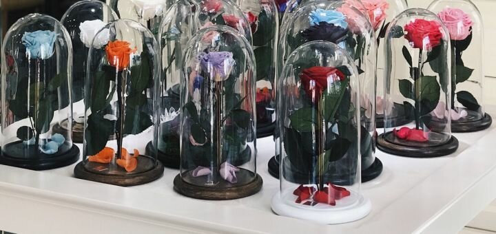 Discount on all menus in the coffee shop coffee and flowers