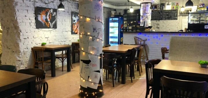 Coffee shop with raccoons in kharkov