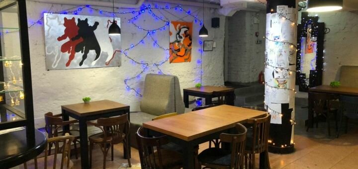 Coffee shop with raccoons in kharkov