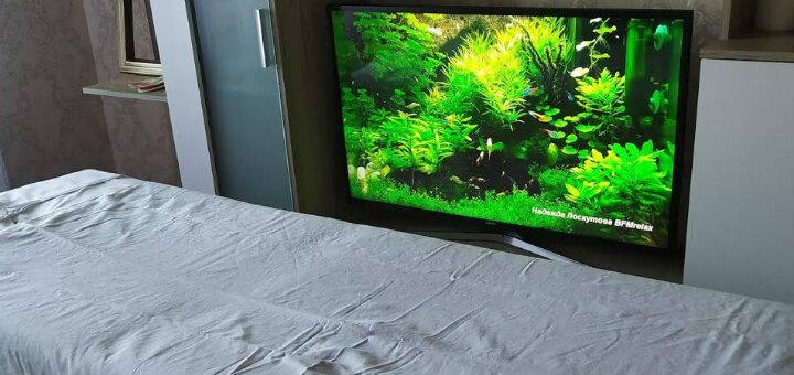 Discounts "Massage cabinet on Shevchenko" Zhytomyr