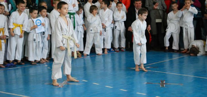 Українська федерація бойових мистецтв у києві. записуйтеся на карате по знижці.