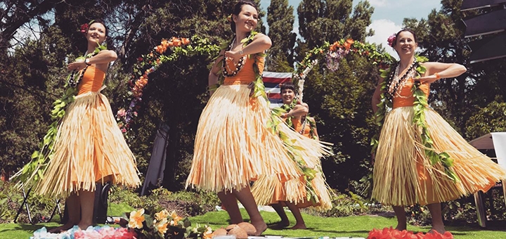 dance studio Moana Hula Studio action 2