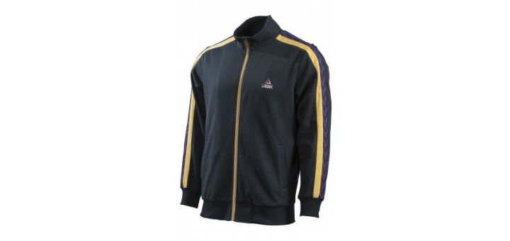 Men's hoodies in the online store "Peak sport". Buy sportswear at a discount.