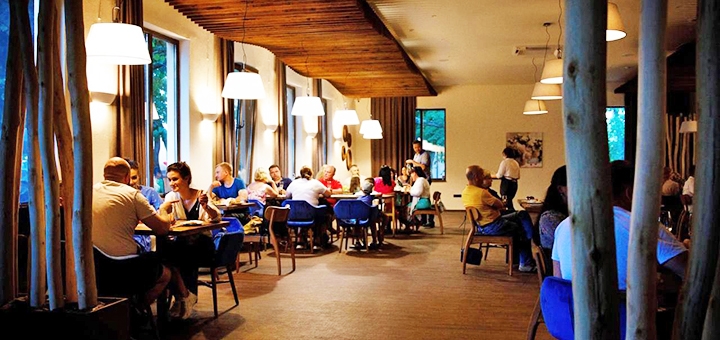 Отель «Forrest Park & Resort» под Днепром. Бронируйте со скидкой 8