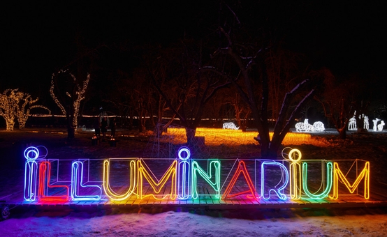 Art space Illuminarium “Magic of Light”