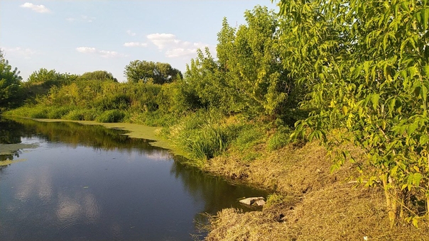 Оренда альтанок Альтанка. Бронюйте за акцією 39