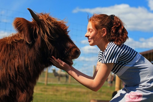 Семейный экопарк Ясногородка, зоопарк