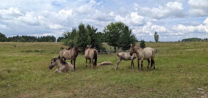 Beremitskoe Nature Park. Visit on special offer 26