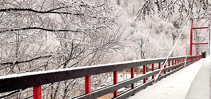 Park Hotel Svyat. Book with special offer 11