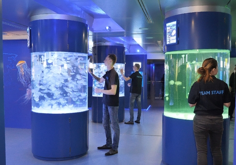 Музей медуз в Киеве. Посещайте по акции 5