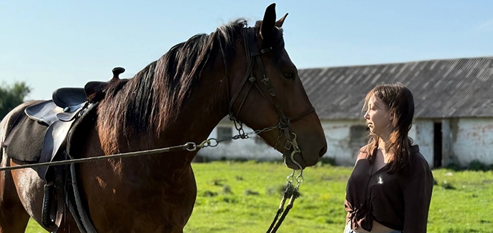 Shenkel Equestrian Club. Visit with a 15% discount.
