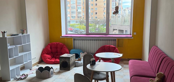 Murcota Cat Cafe. Visit with a 6% discount.