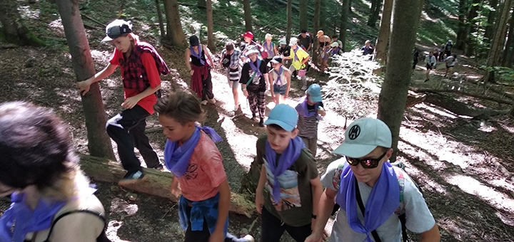 Forest Life Children's Camp. Visit with special offer 31
