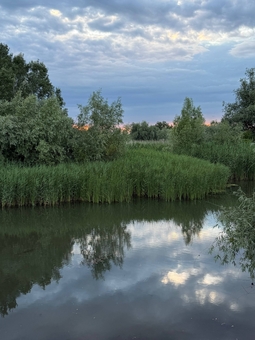 Guesthouse Pristan in the Odessa region. Visit with a special offer of 18