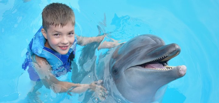 Скидки на купание с дельфинами в «Немо»