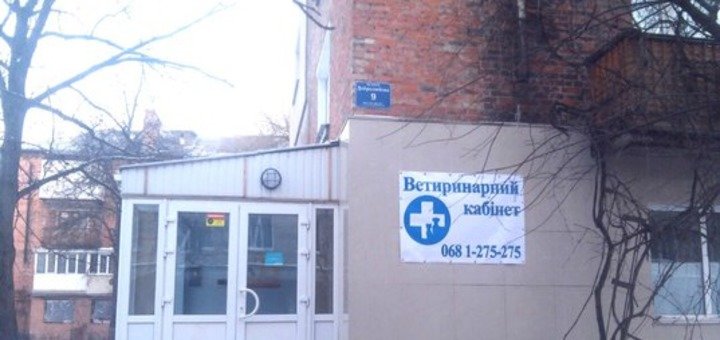 Ветеринарная клиника «Любимец». Воспользуйтесь услугами по акции 