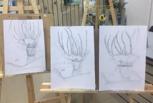 The basics of classical drawing in the art school-studio «TREE ART» in Kiev. Sign up for a painting course at a discount.