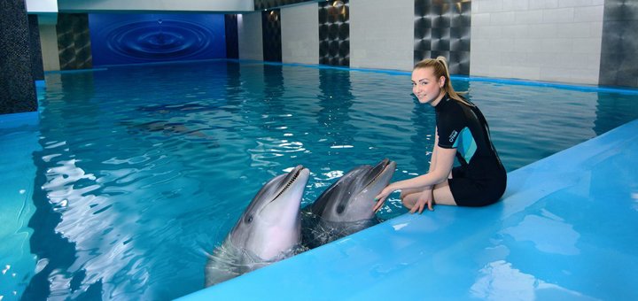 Discount for swimming with dolphins in the fitness club &quot;nemo fit &amp; spa&quot; in odessa.