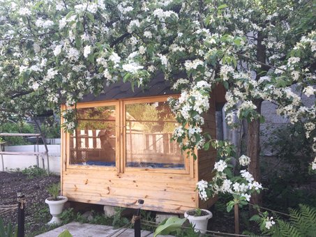 Лікування сном на вуликах «HappyBee» у Києві. Записуйтесь за знижкою.