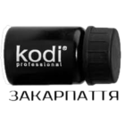 KODI Professional Закарпатье