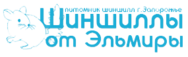 Шиншиллы от Эльмиры