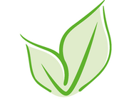 Vena Clinic