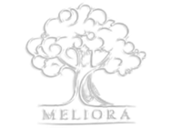 Meliora