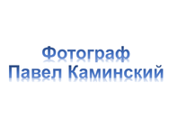 Павло Камінський