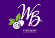 Whiteberry (Буковель)