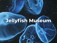 Музей Медуз